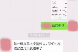 河源如何避免债务纠纷？专业追讨公司教您应对之策